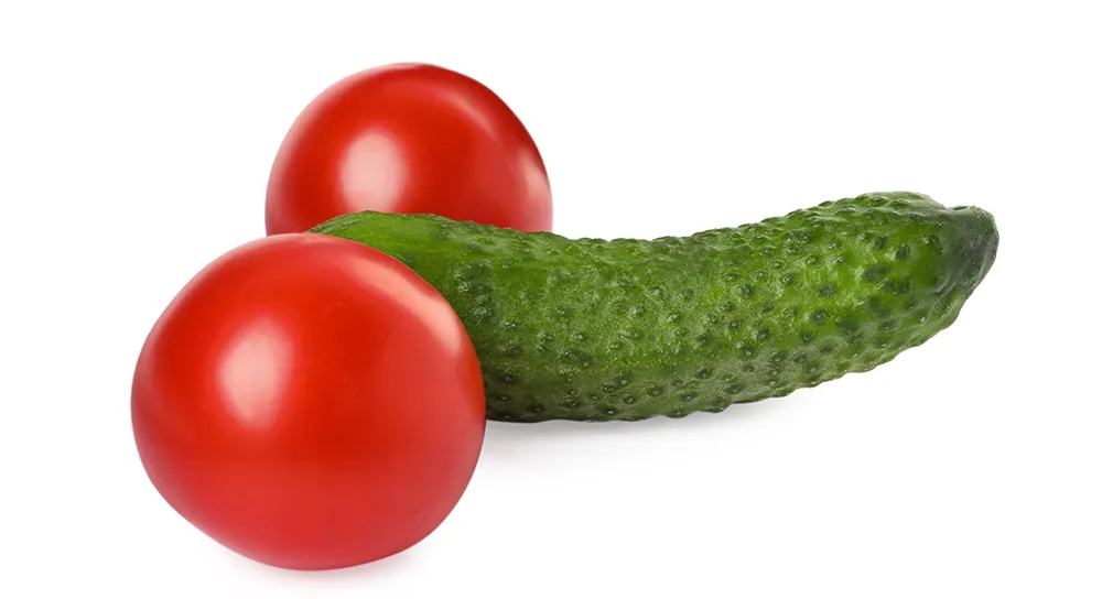 Taille du pénis, micropénis et érection normale.